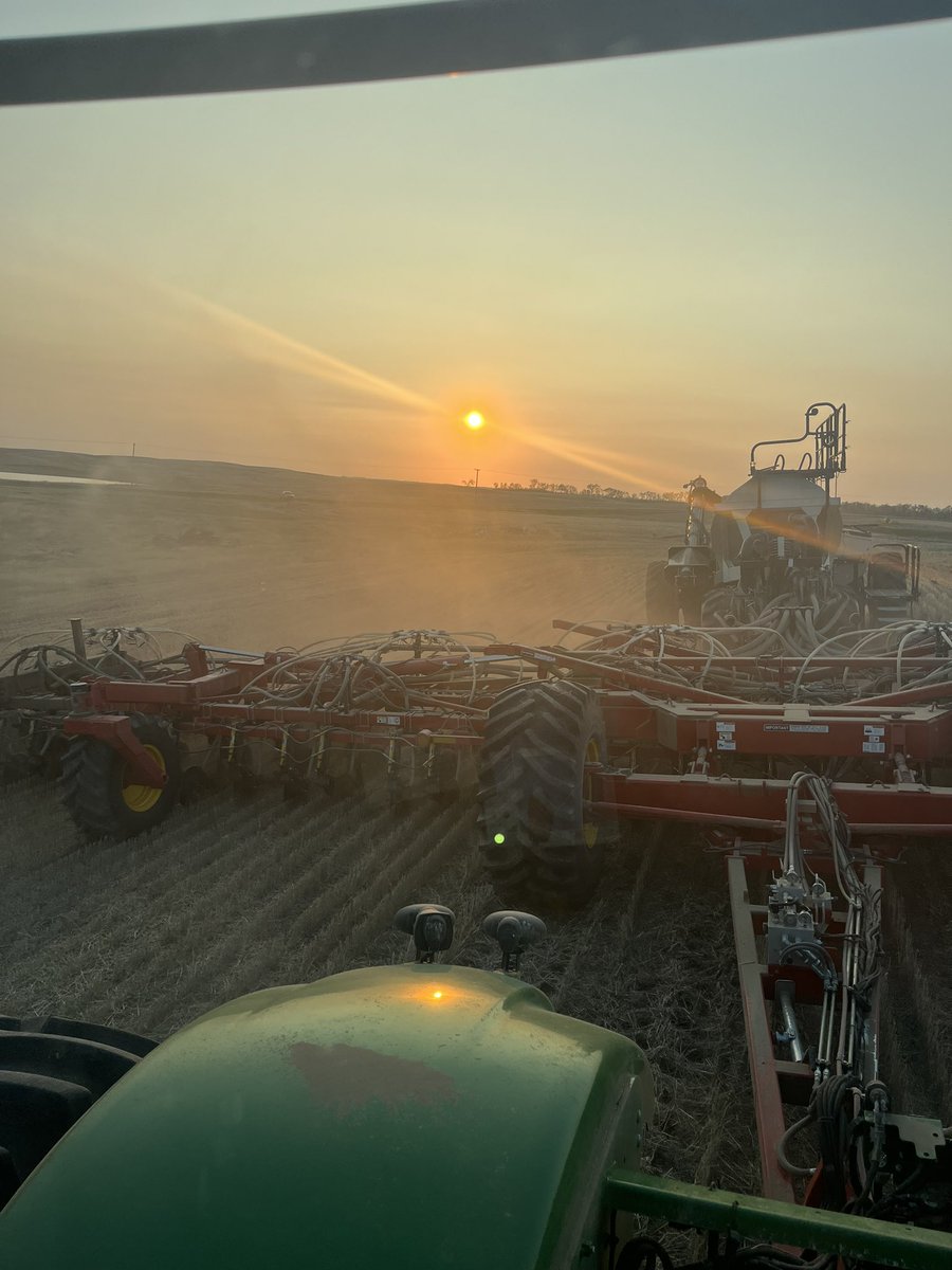 𝑹𝒊𝒗𝒊𝒆𝒓𝒆 𝑨𝒈 𝑺𝒆𝒆𝒅𝒔 𝑳𝒕𝒅 🌾 (@riviereagseeds) on Twitter photo 