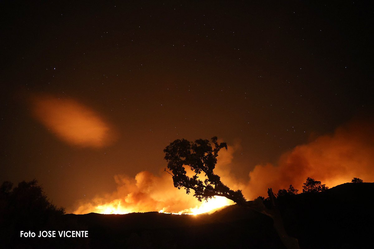 Vicente_Foto's tweet photo. Incendio de Pinofranqueado (Cáceres)
📷Jose Vicente
@AT_Brif https://t.co/dYT4L7DjRK