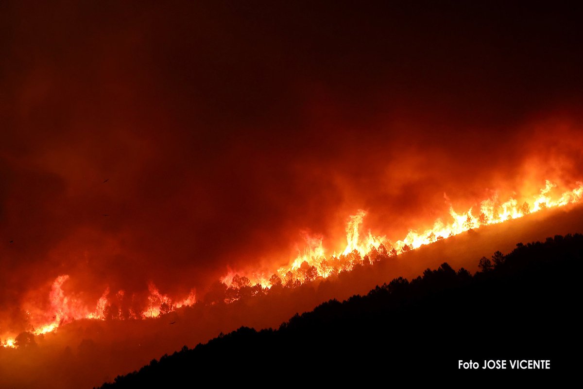 Incendio de Pinofranqueado (Cáceres)
📷Jose Vicente
<a href="/AT_Brif/">ATBRIF</a>