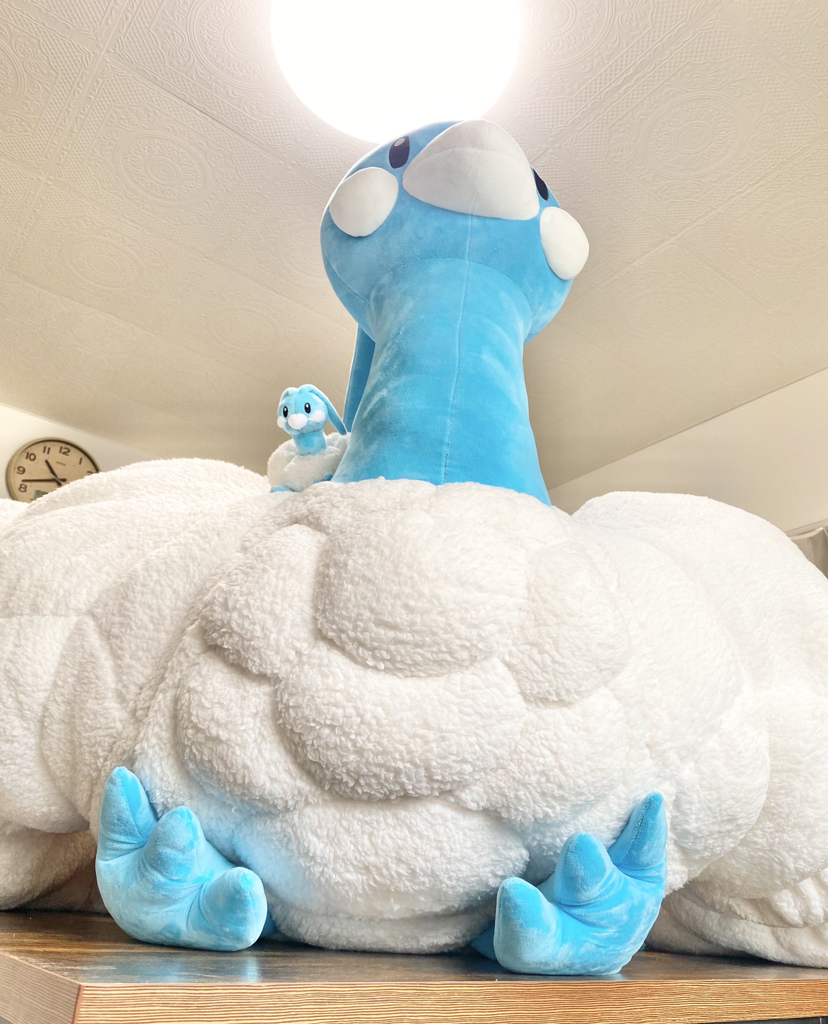 リア(\_/)ポケモン部屋の住人 on X: 