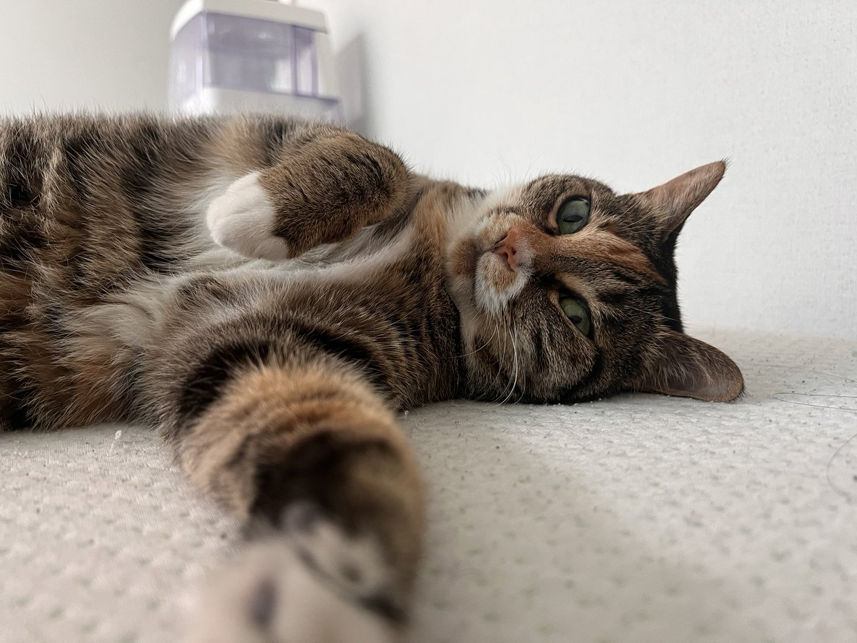 자기야 왜 칭얼거려