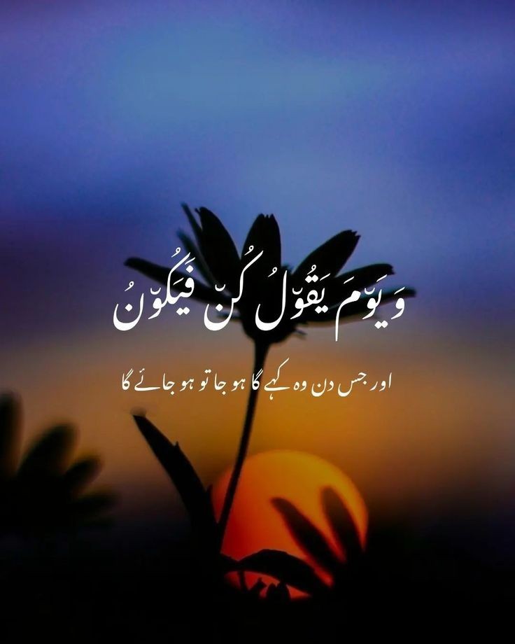 ❣ﺍَﻟﺴَّﻼَﻡُ عَلَيكُم وَرَحْمَةُ اللهِ❣

🌲صبح کا سلام صرف رسم  نہیں بلکہ احساس فکر بھی ہے تاکہ رشتے سلامت رہیں اور یادیں باقی رہیں🌲

💓کروڑوں دعاؤں کے ساتھ آپکا آج اور ہر آنے والا دن رحمتوں و برکتوں والا ہو💓

💚اللہ رب العزت ہم سب کی حفاظت فرمائے💚 

🤲آمین ثم آمین 🤲