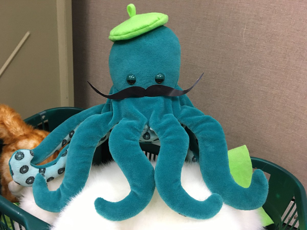 Monica Zepeda tweet media