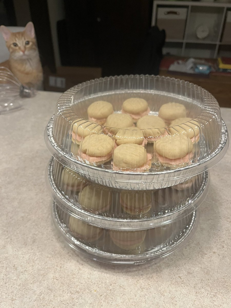 Second recipe of the week by Queen @lallimusic, this time Pink Party Cookies (featuring Max) for the special ed department tomorrow