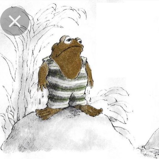 It’s swimsuit season and the latest fashion is this little striped, singlet. After you put it on, you won’t want anyone to look at you until you get in the water.

📗: Frog and Toad Together by Arnold Lobel (<a href="/HarperChildrens/">HarperKids</a>)

#FrogandToad #ArnoldLobel #swimsuitseason