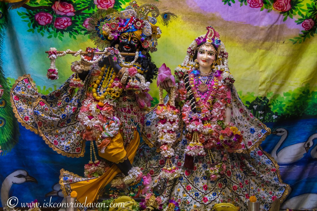 GaurangaDas's tweet image. When your mind is filled with the holy names of Lord Krishna, your heart gets filled with his eternal love.🙏🏼

#eternallove #holyname #happiness #krishna #haribol #radheradhe #harekrishna #lordkrishna #radhakrishna #krishnaleela #krishnaconsciousness #iskcon #radheradhe #haribol