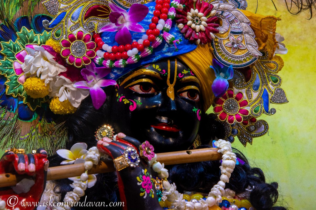 GaurangaDas's tweet image. When your mind is filled with the holy names of Lord Krishna, your heart gets filled with his eternal love.🙏🏼

#eternallove #holyname #happiness #krishna #haribol #radheradhe #harekrishna #lordkrishna #radhakrishna #krishnaleela #krishnaconsciousness #iskcon #radheradhe #haribol