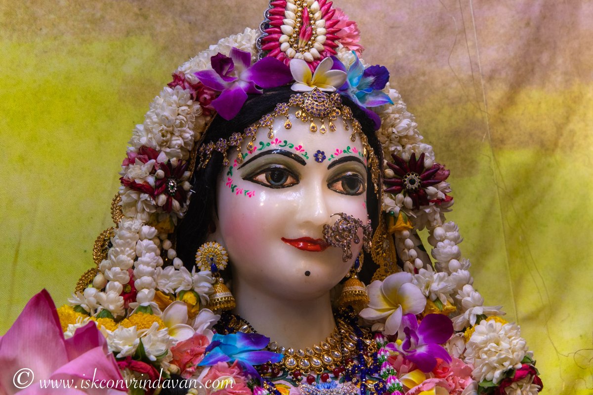 GaurangaDas's tweet image. When your mind is filled with the holy names of Lord Krishna, your heart gets filled with his eternal love.🙏🏼

#eternallove #holyname #happiness #krishna #haribol #radheradhe #harekrishna #lordkrishna #radhakrishna #krishnaleela #krishnaconsciousness #iskcon #radheradhe #haribol