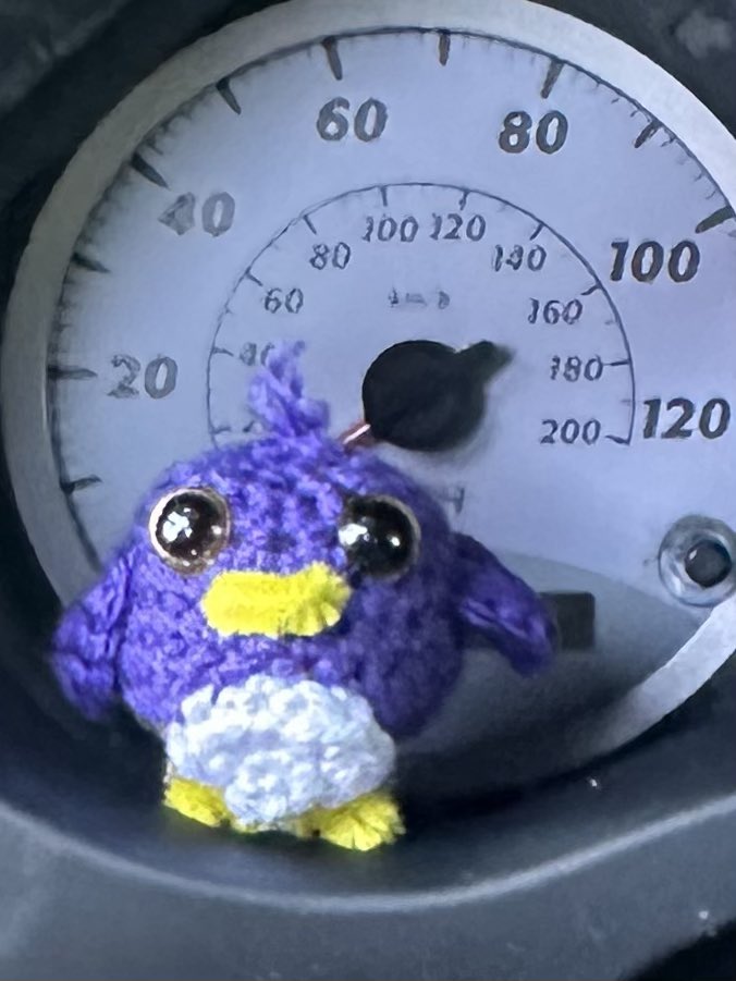 MyAlienUFO's tweet photo. I love my crochet penguin a friend of mine made for me https://t.co/eSDF1asbxM