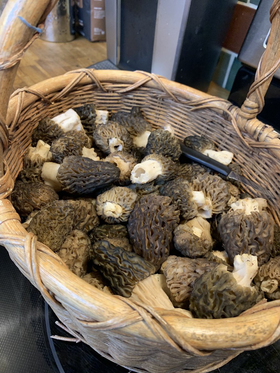 geoleeny's tweet image. Success!