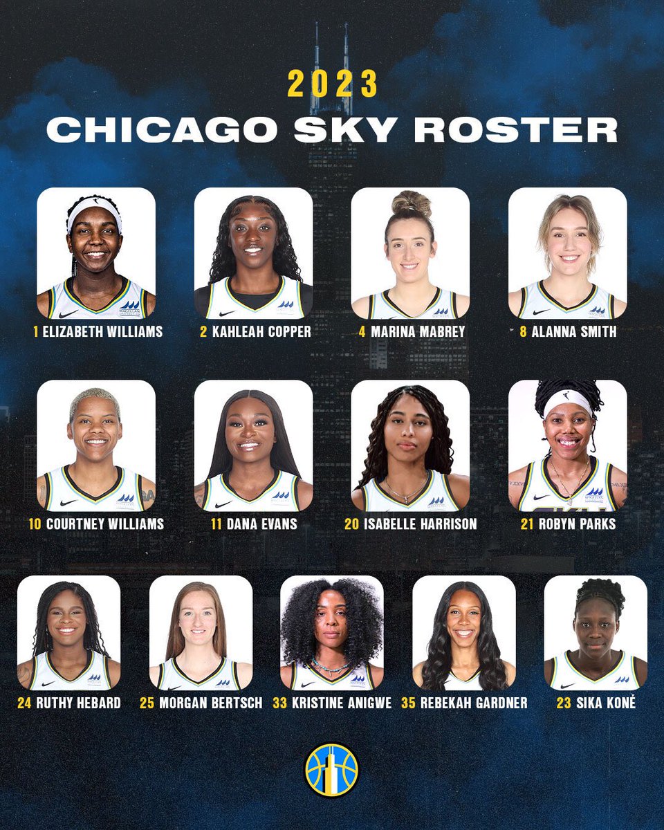 Chicago Sky tweet media