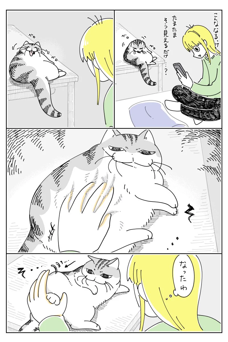 たしかにこれは信じられなくなりそう･･･！猫のやわらかすぎる写真のお話を描いた「猫漫画」！