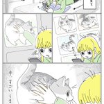 たしかにこれは信じられなくなりそう･･･!猫のやわらかすぎる写真のお話を描いた「猫漫画」!