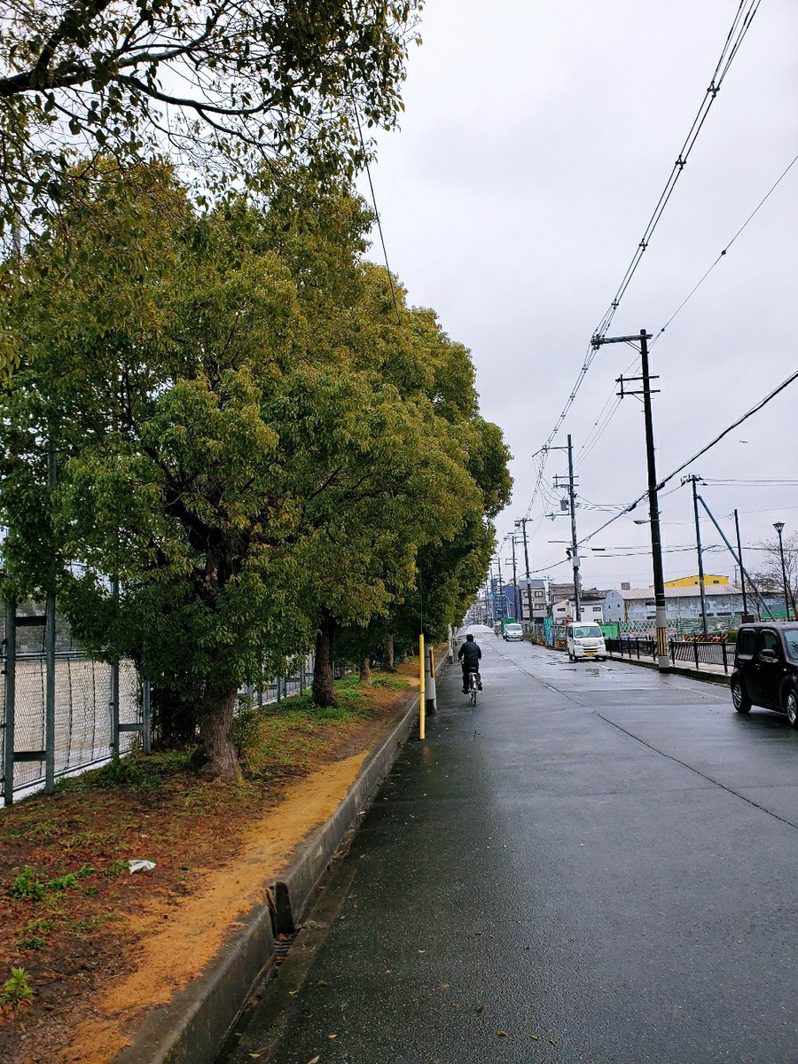 dsrmom's tweet photo. 🌧️☔️五月の大阪は、また雨が降り始めました。6月の息吹を早めに持ってきそうな空模様だ💨 でも、どんなに空が曇っていても、私たちは太陽の気持ちを持ち、毎日の挑戦を迎えなければなりません！一緒に頑張りましょう！💪 https://t.co/sifO1Ndxnj