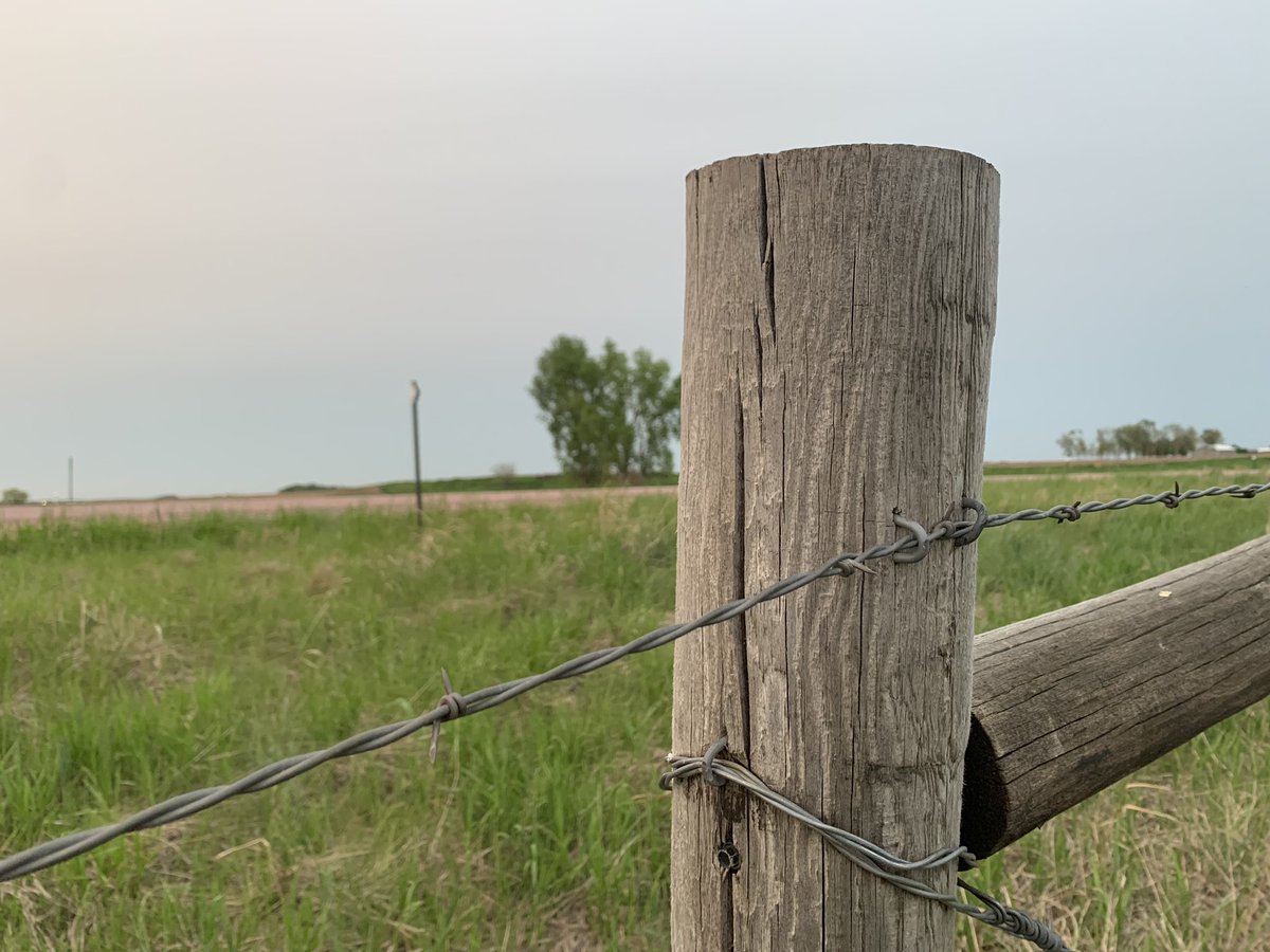 BetsyJibben's tweet photo. Helped my brother fix fence this week before cattle are moved to the pasture.  I probably wasn’t the best help he’s ever had (and he deserves the credit). But, I think we did A-OK! - Not posting more pictures so I don’t get made fun of too much. 😂 - https://t.co/isAZKSCzfc