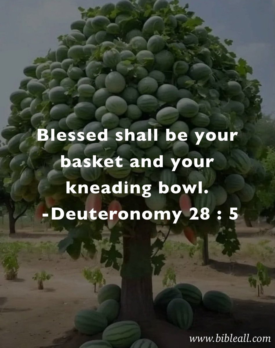 Tape Amen if you really want to be fruitful like this three🙏