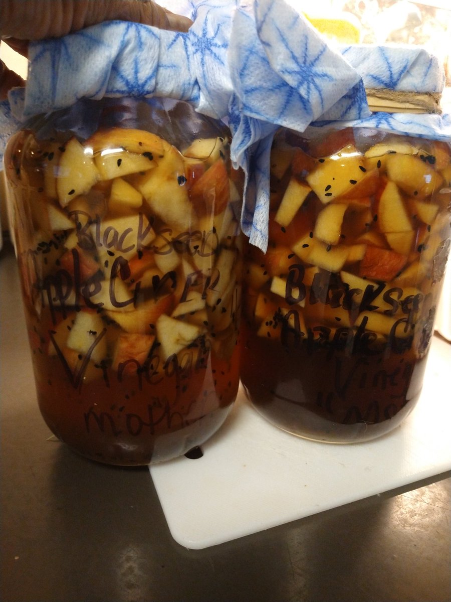 Blackseed Apple Cider Vinegar 🏡👩🏽‍🌾☘️💜🌿 I'm so in love with doing everything In the most natural way as possible. I think that's something many of us has forgotten about.