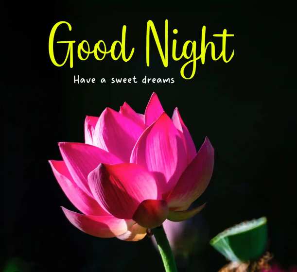 ly Ly (@imlovin_it366) on Twitter photo 