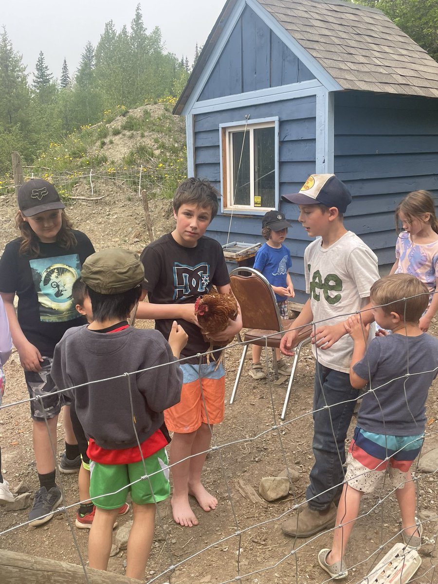 Mariah Bouchard tweet media