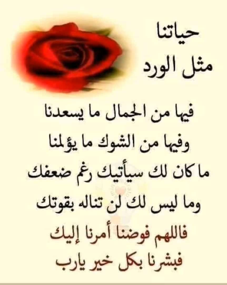 ( ابوعبدالله ) (@L4U0oXHChvTqvdI) on Twitter photo 2023-05-19 03:22:07