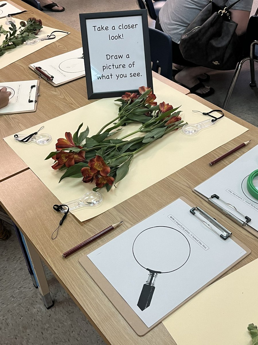 Kim Anderson tweet media