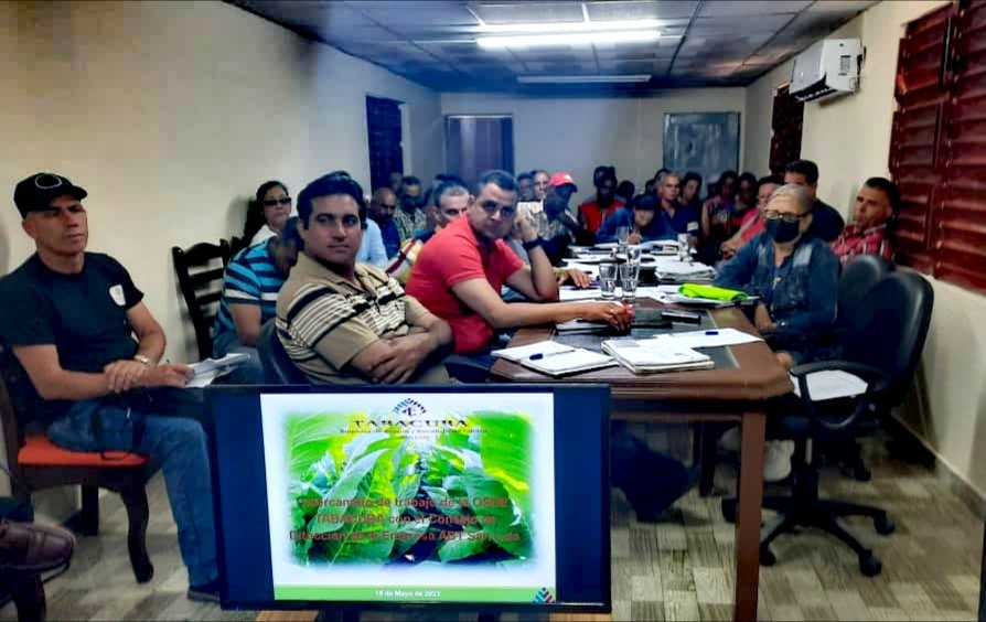 abtsanluis's tweet photo. Productivo intercambio del Presidente de @GTabacuba, acompañado de otras autoridades de ese nivel, con el Consejo de Dirección de la Empresa ABT San Luis. 
#NuestraFortalezaEsLaHerencia
#TabacalerosPorMas
#EmpresaABTSanLuis
#VueltaBajo
#Tabacuba https://t.co/f14EJxB6Ln