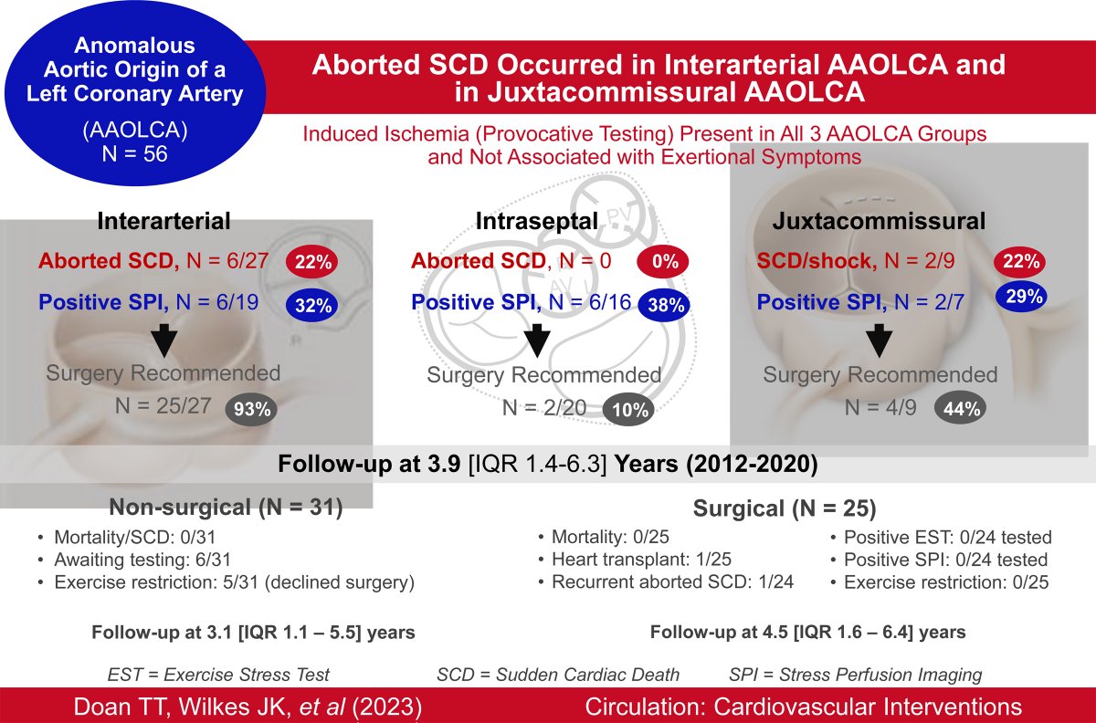 Tam T Doan (@tamtdoan) on Twitter photo Outcomes of children with AAOLCA: Sudden cardiac arrest reported in a known high-risk interarterial group and in juxtacommisural LCA. Induced ischemia present in all subtypes - much remain to be understood. <a href="/TCHheartcenter/">TCH Heart Center</a> <a href="/bcmhouston/">BCMHouston</a> 10.1161/CIRCINTERVENTIONS.122.012635 Outcomes of children with AAOLCA: Sudden cardiac arrest reported in a known high-risk interarterial group and in juxtacommisural LCA. Induced ischemia present in all subtypes - much remain to be understood. <a href="/TCHheartcenter/">TCH Heart Center</a> <a href="/bcmhouston/">BCMHouston</a> 10.1161/CIRCINTERVENTIONS.122.012635