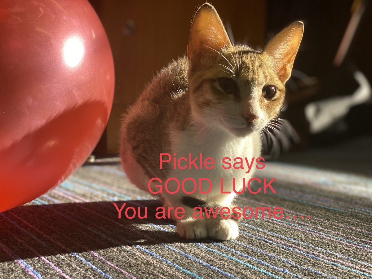 Good luck to our Sixth Formers sitting exams in the coming weeks. Believe in yourselves and remember to take care of yourselves too.