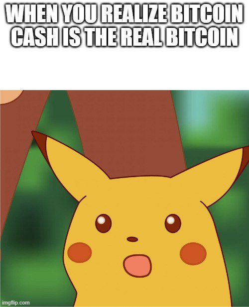 <a href="/Smartcashdao/">SmartBCH Dao</a>