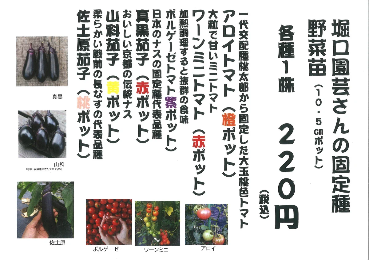 野口のタネ オンラインショップ on X: 