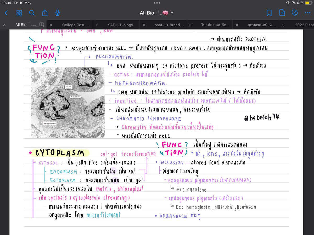 ตัวอย่างข้างในนะคะ🍎
#ขายชีทสรุป #ชีทสรุป #ไฟล์หนังสือ #goodnote5 #แจกpng #ไฟล์สรุป #แจกไฟล์png  #dek67 #dek68 #dek69 #dek70 #dek71 #Alevel