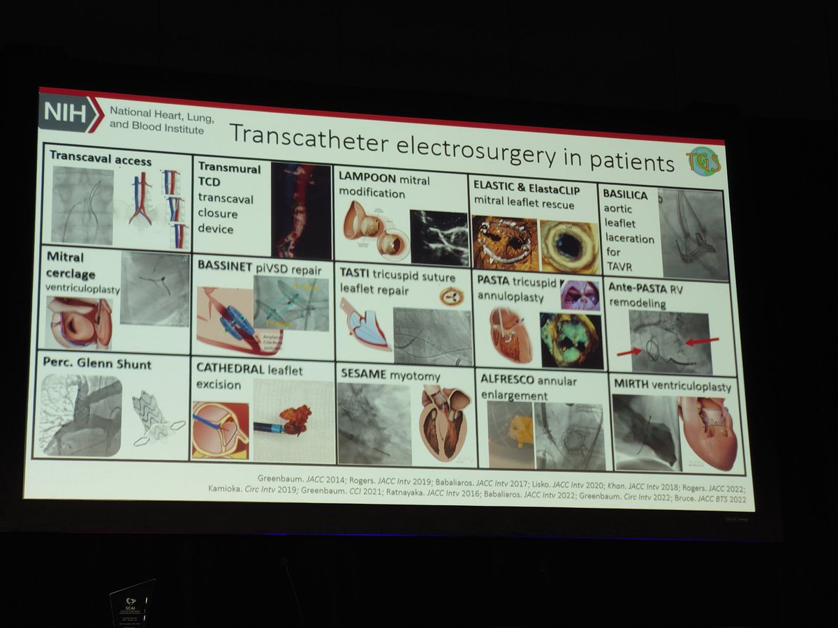 Matt Daniels MD PhD tweet media
