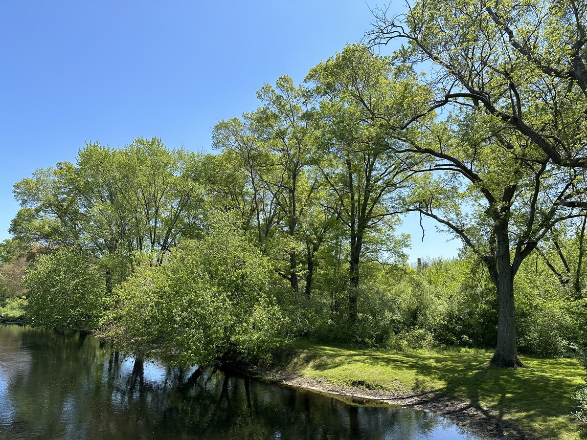 “Let us cross over the river and rest under the shade of trees…”