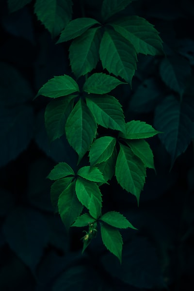 📷<a href="/Frostroomhead/">Rodion</a>  #nature #hourlyNature #nomaddream #wonderlust #travel