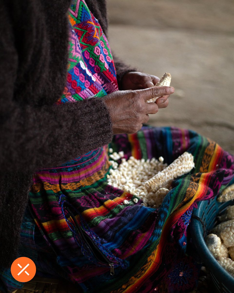 Border of Dreams Movie tweet media