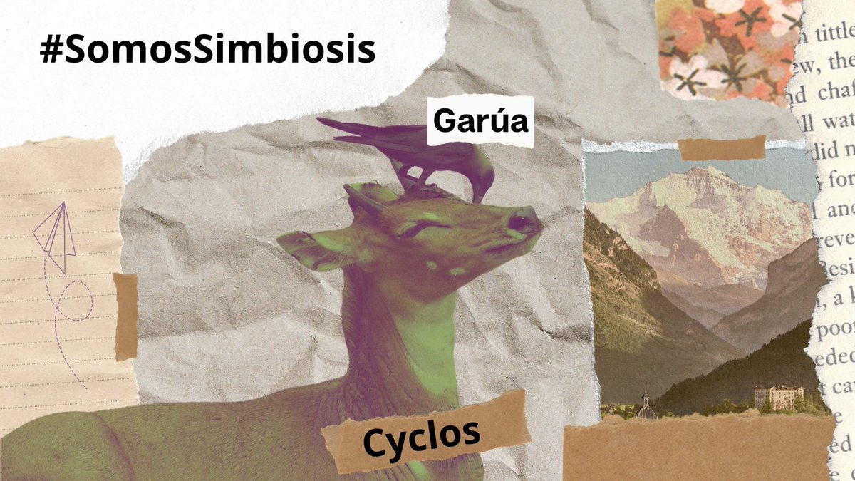 garuacoop's tweet photo. Esta tarde celebraremos que, dónde había dos, hay una, que #Cyclos y Garúa #SomosSimbiosis
Por supuesto, lo haremos en el @elfogonverde https://t.co/4d3KtPgt6m