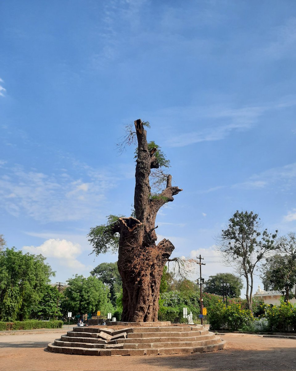 Show me a picture that you took that you love.
#Vadodara