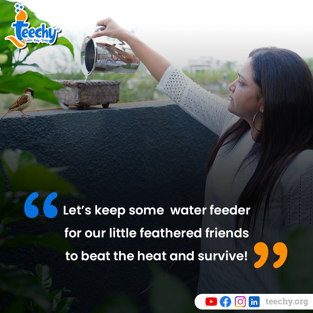'Create a haven for birds in your own backyard! 🐦💧 Provide them with a clean, refreshing oasis to drink, bathe, and thrive. A bird bath or water feeder filled with fresh water is all it takes to attract these beautiful creatures and nourish your soul. #BirdsNeedWaterToo