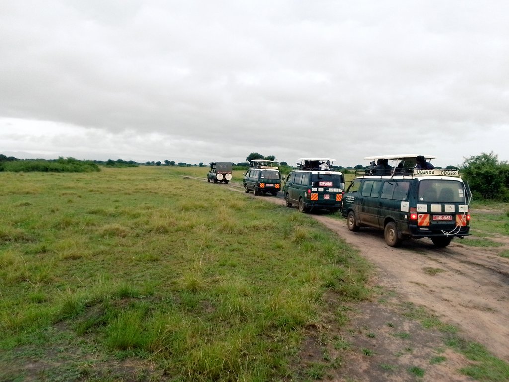 rwotoriba's tweet photo. At @SafarisUganda we do plan for your tailor-made Safaris and small group Tours, book with us today for your unforgettable and memorable adventure.

For inquiries,
Email; info@greatlakessafaris.com
Call: +256 770 486002

#ExploreUganda

@ExploreUganda https://t.co/UyH2V3s6lI