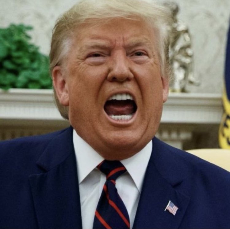 Worst President in History!

1.Psycho
2. Lunatic
3. Racist
4.Liar
5. Psychopath
6. Narcissistic
7. Domestic terrorist
8. Impeached twice
9.Lost the popular vote 2
10. It’s Indicted Potus 
11.And will be 1st President in jail@74

My last comment was a prayer to 
Put him in Rickers