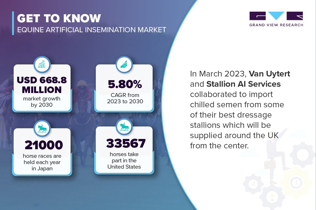 According to @MyHorseU, a conception rate of 65% is considered to be average for a farm that breeds horses. Get to know the #marketgrowth @ bit.ly/3MFB3Z7

#GVR #marketresearch #healthcare #ArtificialInsemination #equine #university #Trending #horse #HorseRacing