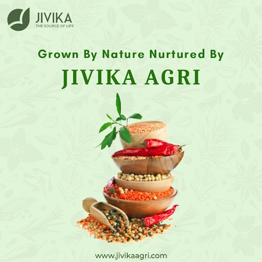 From cumin to coriander, Jivika Agri has all the spices you need.
#jivikaagri #jivika #spices #indianspices #SpiceUpYourLife #FlavorsofIndia #AromaticDelights #masala #indianmasala #indiasbestbrand #bestbrand #premiumspices #premiumquality #naturalspices #spiceexporter
