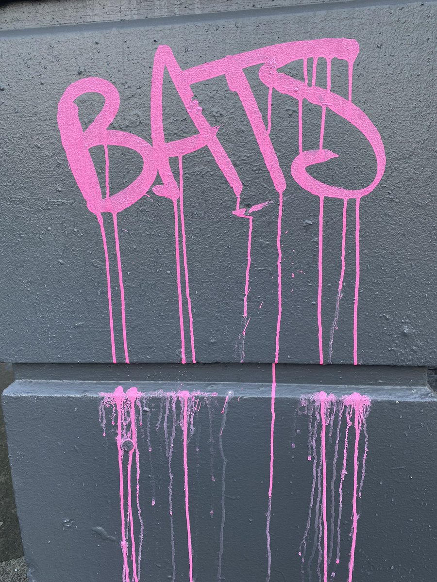 JeremyReesnz tweet media