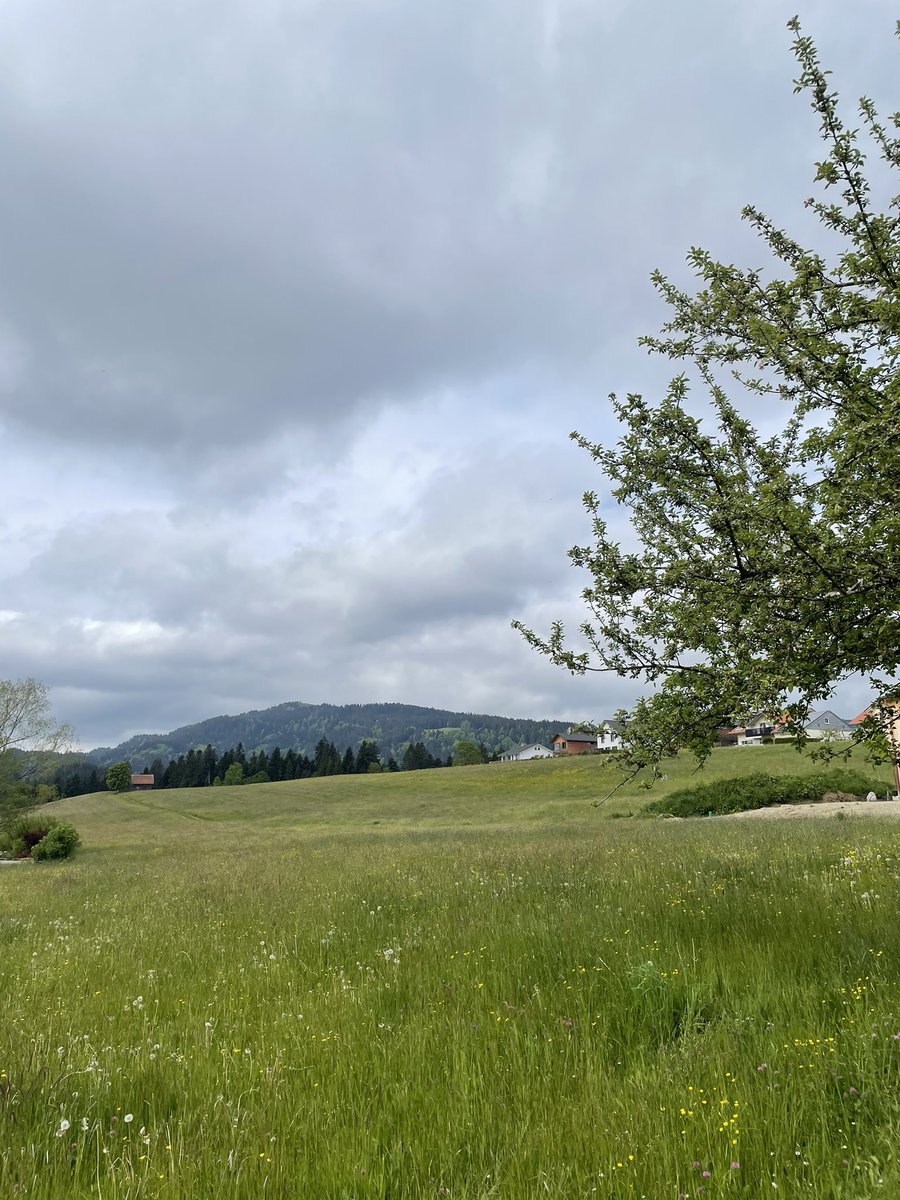 maierst's tweet photo. Kleiner Ausflug ins #Allgäu mit dem Cabrio…Dach bleibt zu wegen Wetter 🤷🏻♂️
Grab richten in #Scheffau und dann ins #Meckatzer Bräustüble 🍻
Weltbeste Käsespätzle 🍽️ https://t.co/Ke5x2Bmu2J