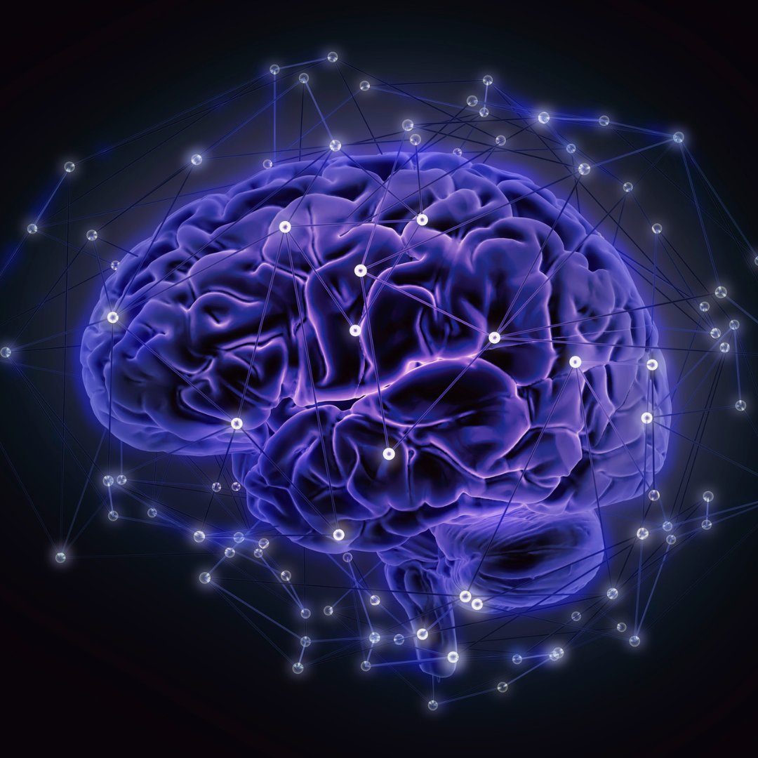 <a href="/EimearDr/">Eimear Nolan</a> features in the newest episode of the <a href="/brainforbiz/">Brain for Business</a> podcast hosted by <a href="/laurenceknell/">LaurenceKnell</a> to discuss #culturalintelligence in #leadership.

Listen Here 👉 bit.ly/3ItXVIH