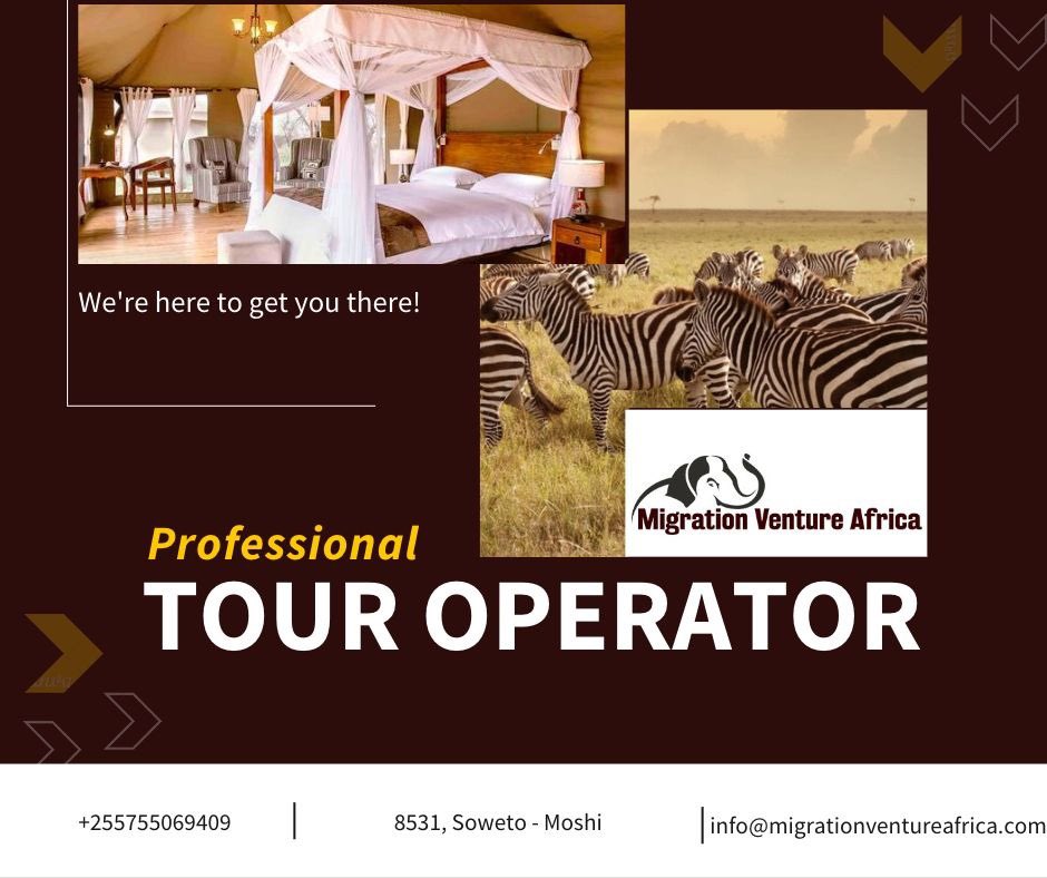 Tailor-made Tanzania vacation ✓Best safari, beach and climbing itineraries ✓100% Private Trips ✓ Free Quote. #migrationventureafrica #tanzaniasafari #wildlifeexperience #safariprofessionals