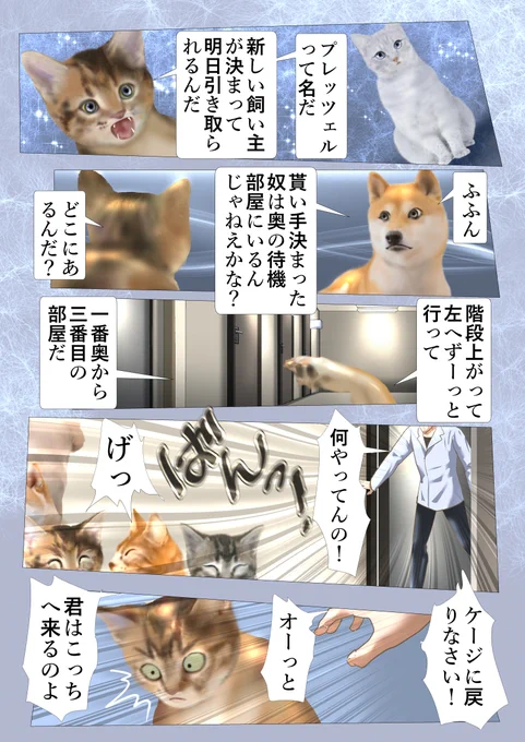 アカデミーへようこそ 74 #漫画が読めるハッシュタグ #NFT 
以前飼っていた犬はお腹を撫でてもらうのが大好きで、毎日おねだりが凄かった。
The dog I used to have liked to have his belly rubbed, and he was begging every day. 