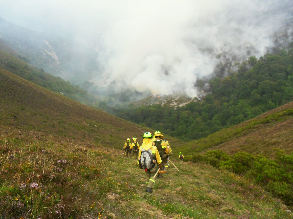 .<a href="/radio3_rne/">Radio 3</a> Domingo, 10.00
EL FUEGO Y ELL@S NUESTRA@S BOMBER@S FORESTALES
Con #SoniaLópez #FernandoMartin #RebecaPazGuadalupe <a href="/AT_Brif/">ATBRIF</a> #NatxoBlanchart  <a href="/arribalasramas/">ARRIBA LAS RAMAS</a> #AinaErice @davidgvtierrez  <a href="/mluzdiazg/">M.Luz Diaz</a> <a href="/huertoalegre/">Huerto Alegre</a> <a href="/MaiteAquarela/">Maite Mompó</a> <a href="/FraguasRevive/">Fraguas Revive #FraguasGoteoCrowdfunding</a>  
#BomberosForestalesRadio3