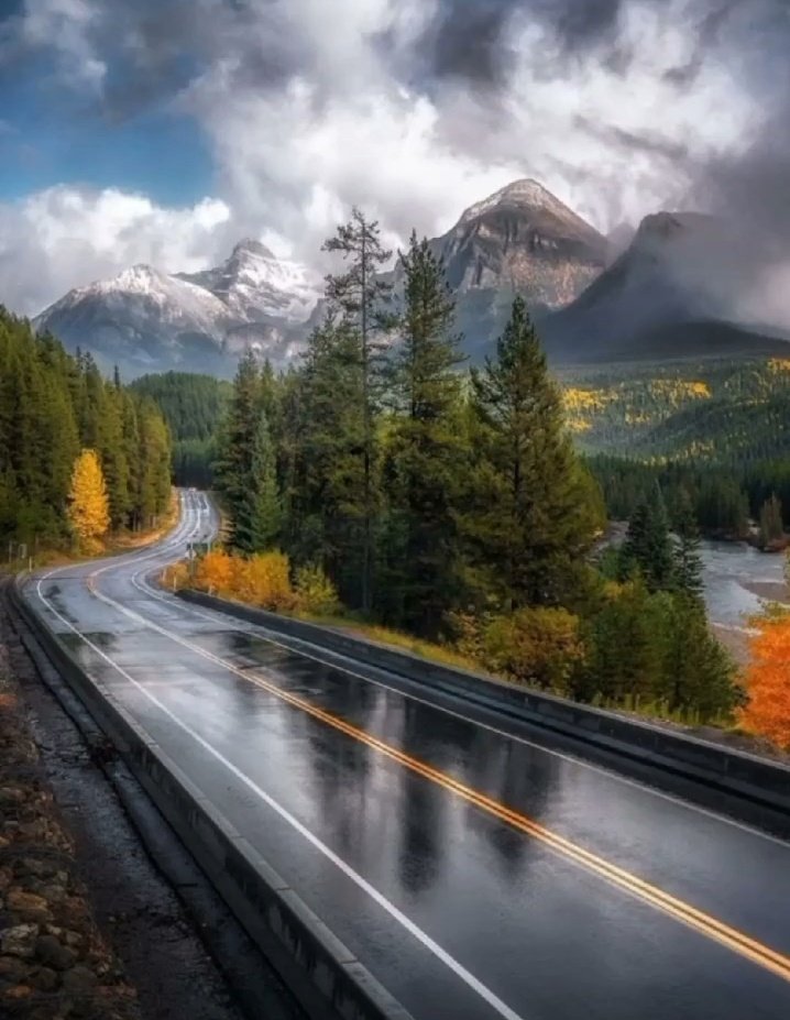arkanl_neriman's tweet photo. 🌲🌳🌨️

Good afternoon.
This morning İ realized why İ love the rain so much, because it looks like a crying heart.

                                  Tezer Özlü
#NaturePhotography 
#NatureBeauty https://t.co/eaNVSaimsx