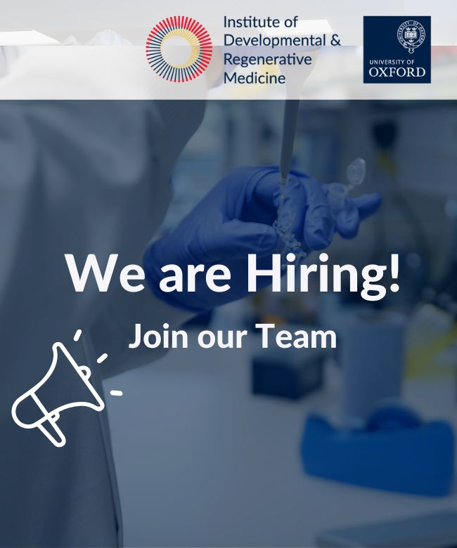 IdrmOxford's tweet photo. 👨‍🔬 Just two weeks left to Apply!

Our Job Vacancy for a committed, experienced group leader in oligonucleotide drug development expires on the 5th of June.

Apply Today!

#jobvacancy #hiring @OxPaediatrics 

https://t.co/5Ck9SVZgZ2 https://t.co/Fp2wzoNfQU